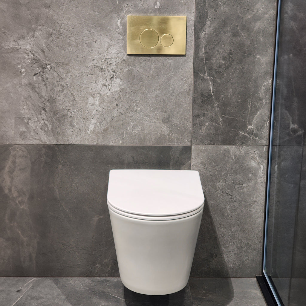 wall-hung-toilet-with-typhoon-flush