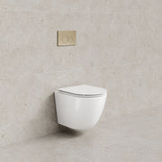 Code Flow Typhoon Wall Hung Toilet Suite | Brushed Brass Button