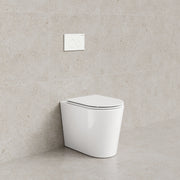 Code Pure Typhoon Inwall Toilet Suite | Matte White Button