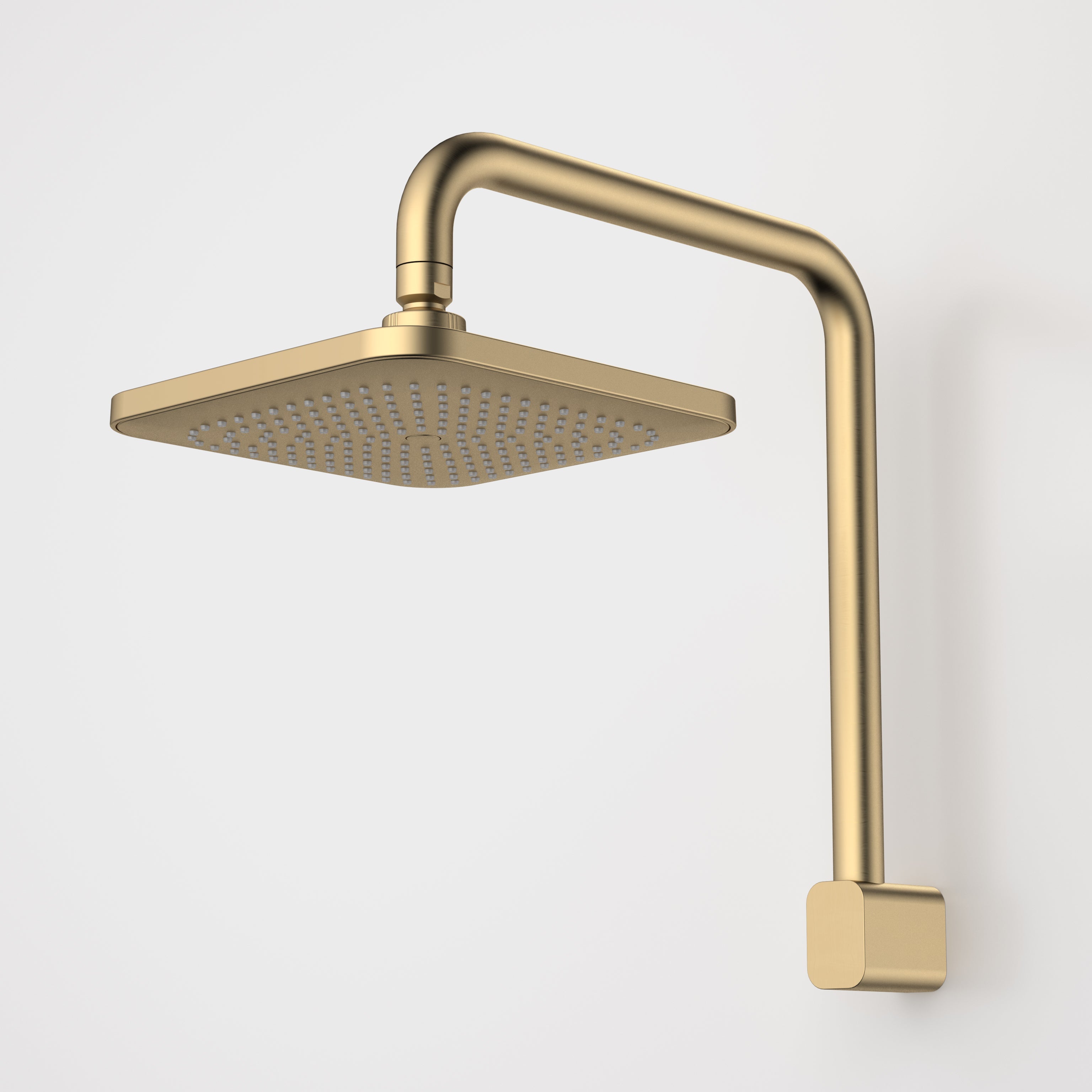 caroma-luna-fixed-overhead-shower-brushed-brass