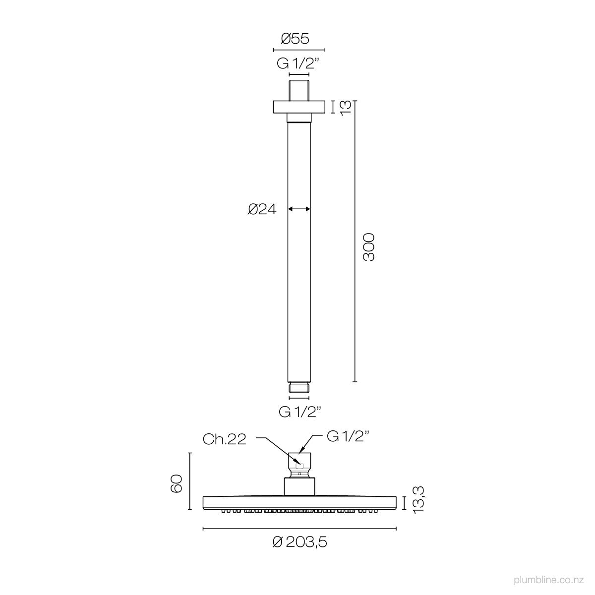 Plumbline Buddy 200mm Ceiling Mount Rainhead With 300mm Arm