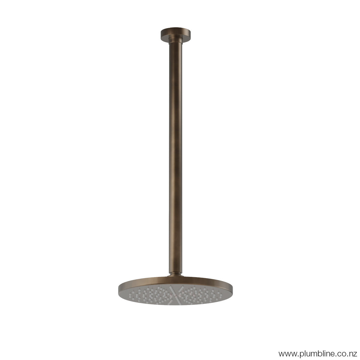 Plumbline Buddy 200mm Ceiling Mount Rainhead With 450mm Arm - Aged Brass Organic