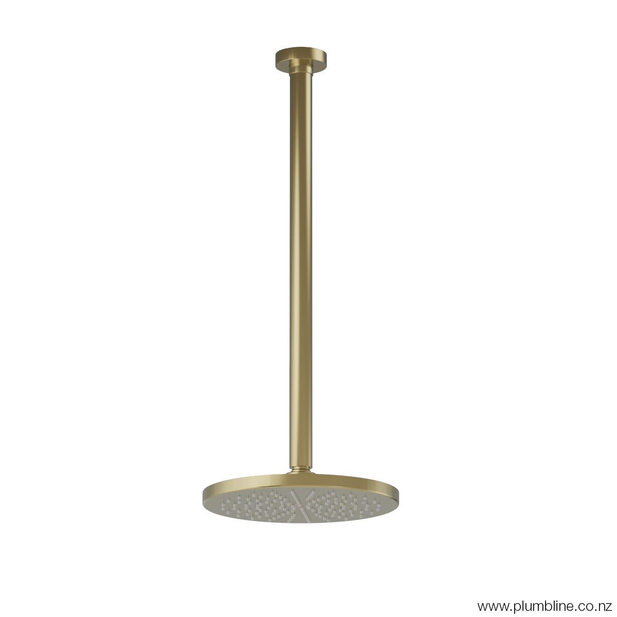 Plumbline Buddy 200mm Ceiling Mount Rainhead With 450mm Arm - Brushed Brass PVD