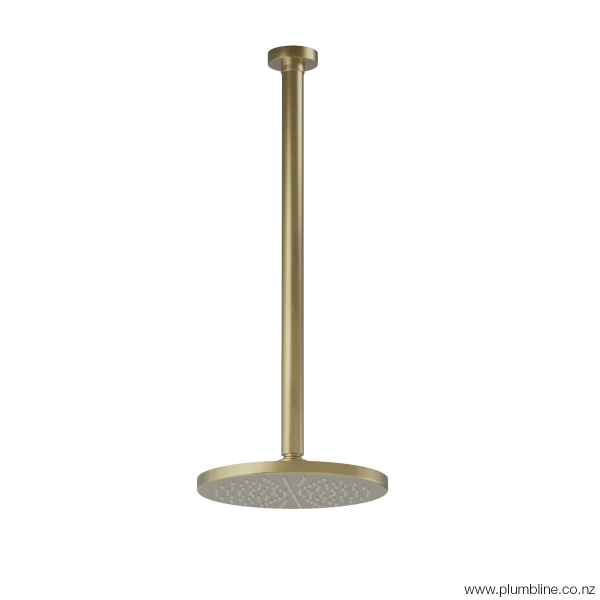 Plumbline Buddy 200mm Ceiling Mount Rainhead With 450mm Arm - Brushed Brass Organic
