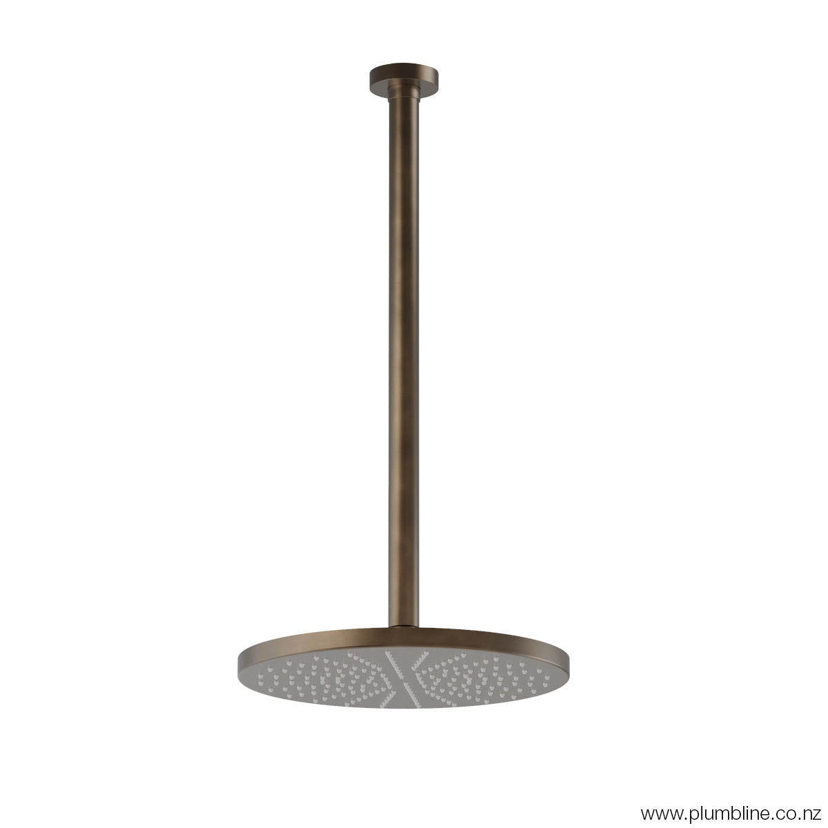Plumbline Buddy 250mm Ceiling Mount Rainhead With 450mm Arm - Aged Brass Organic