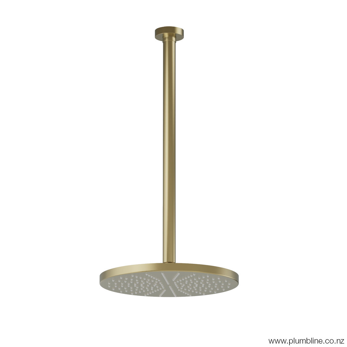 Plumbline Buddy 250mm Ceiling Mount Rainhead With 450mm Arm - Brushed Brass PVD
