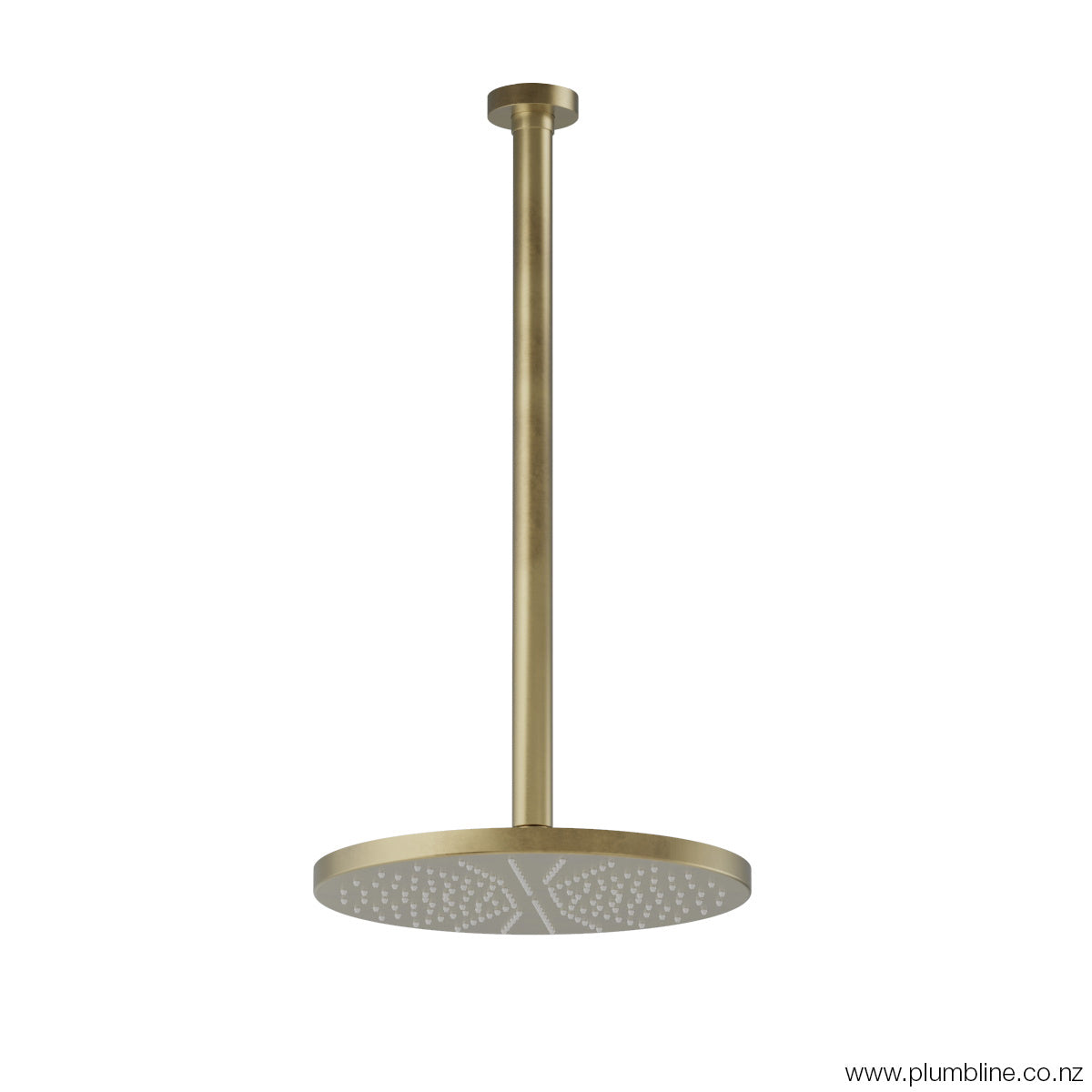 Plumbline Buddy 250mm Ceiling Mount Rainhead With 450mm Arm - Brushed Brass Organic