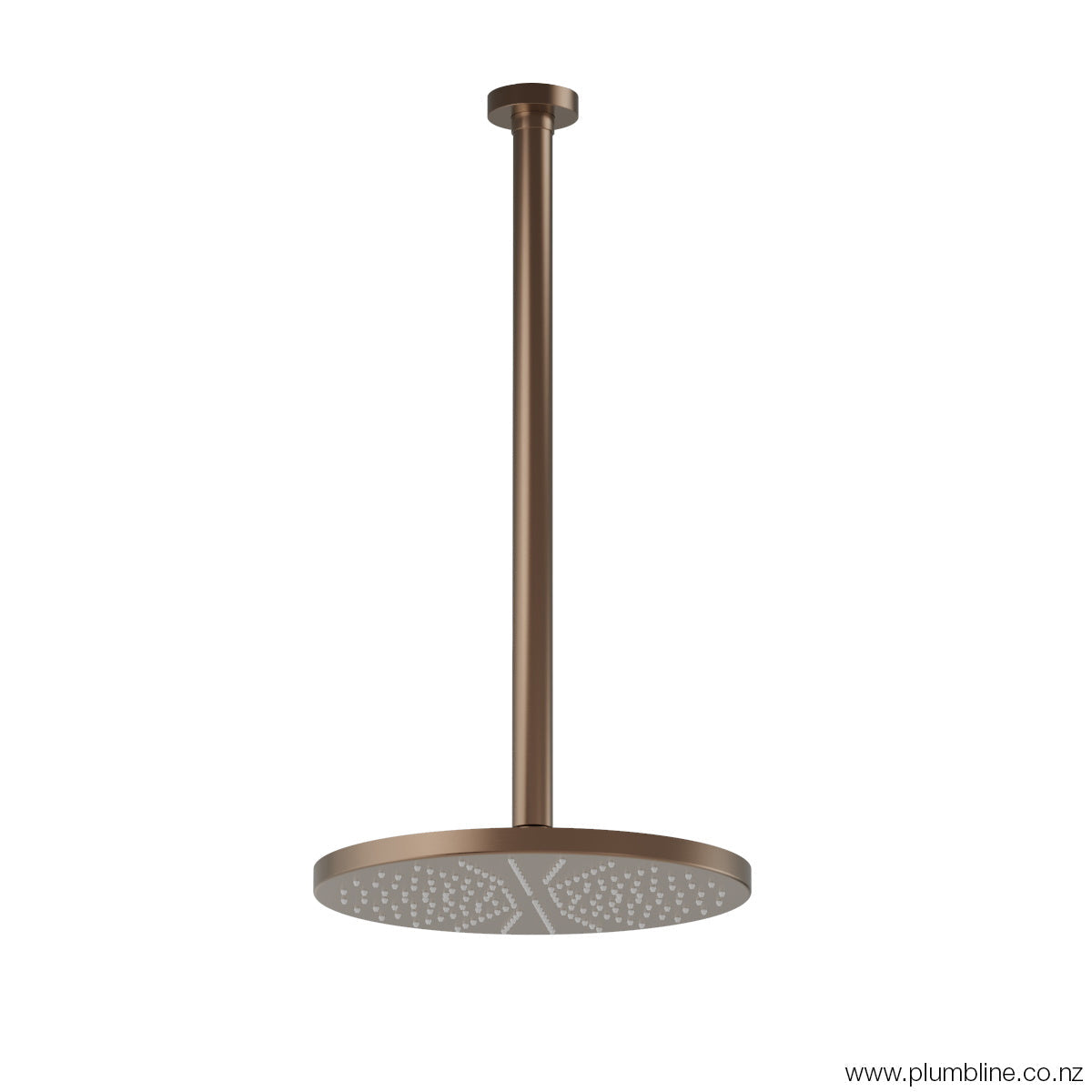 Plumbline Buddy 250mm Ceiling Mount Rainhead With 450mm Arm - Brushed Bronze PVD