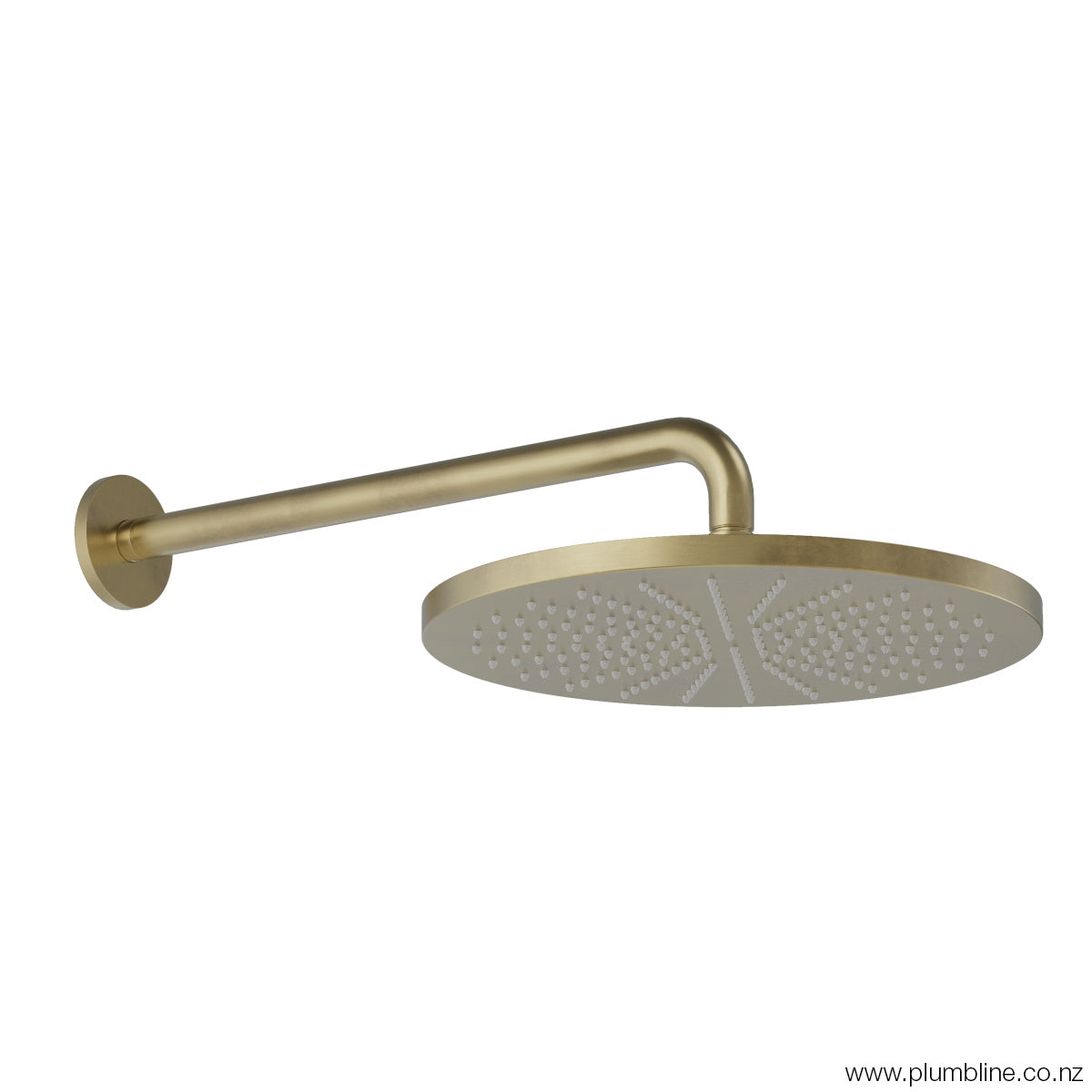 Plumbline Buddy 300mm Wall Mount Rainhead - Brushed Brass Organic