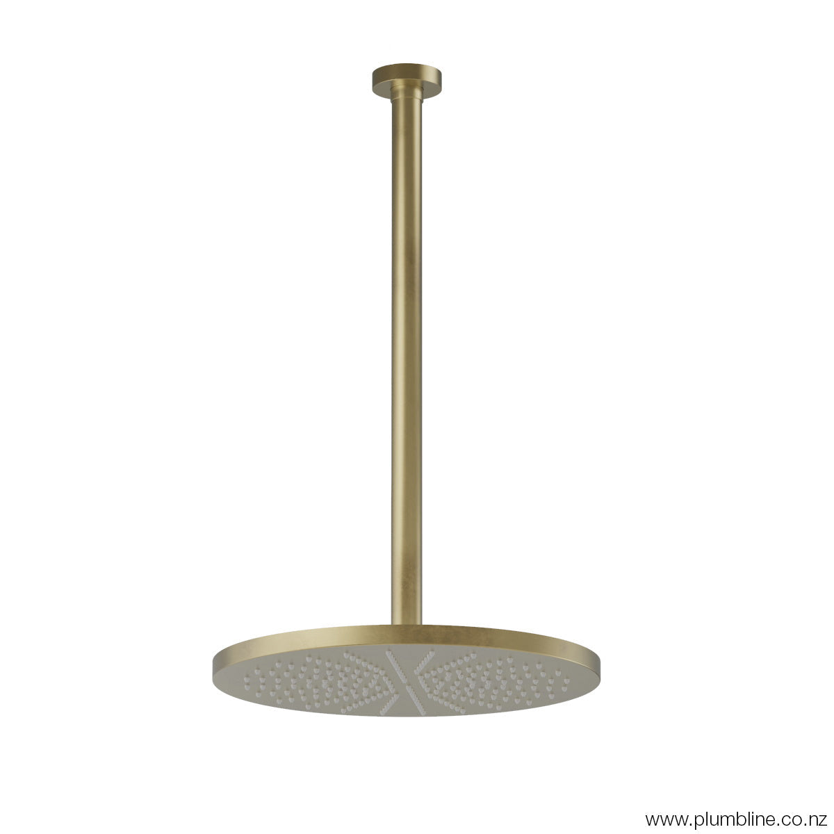 Plumbline Buddy 300mm Ceiling Mount Rainhead With 450mm Arm - Brushed Brass Organic