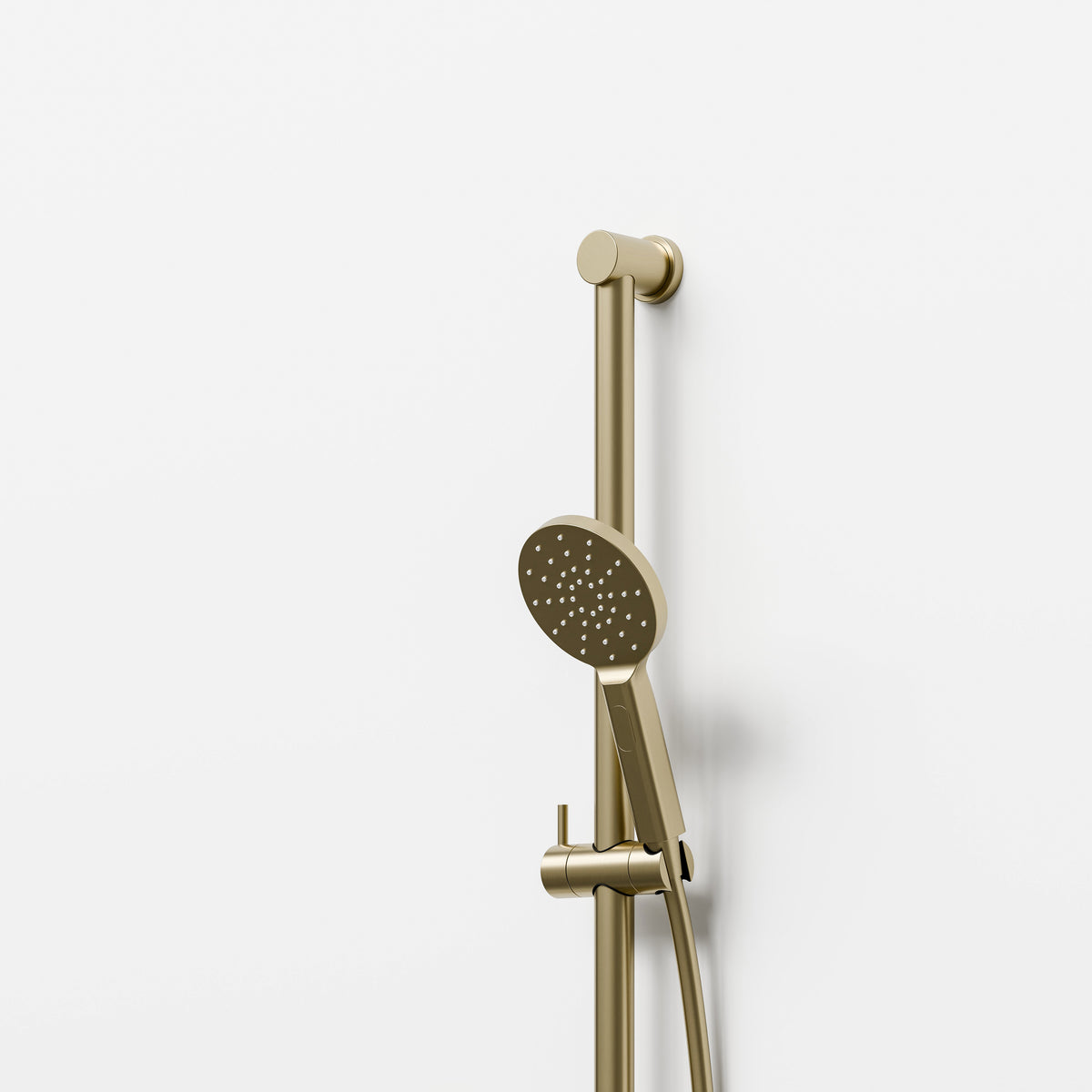 Close up of Nature Slide Shower in Brushed Brass