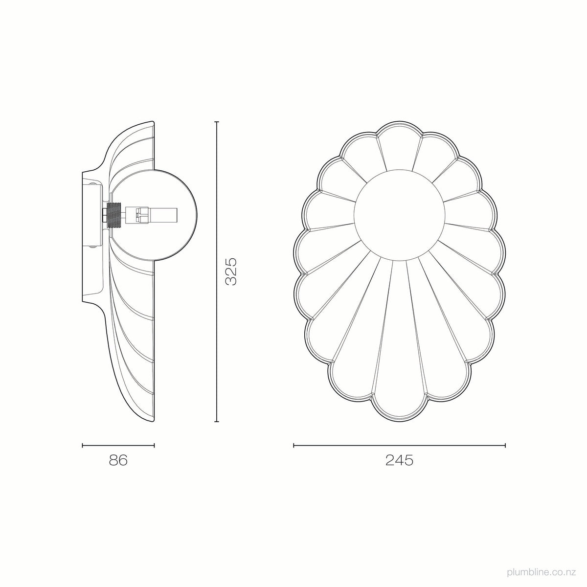 Robert Gordon Oyster Wall Sconce