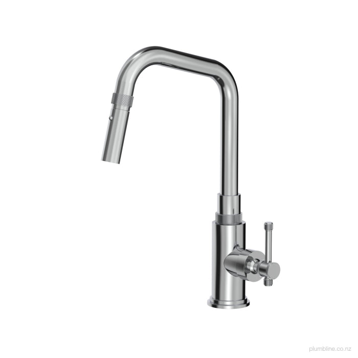 Plumbline Arena Kitchen Mixer With Pull Out Spray