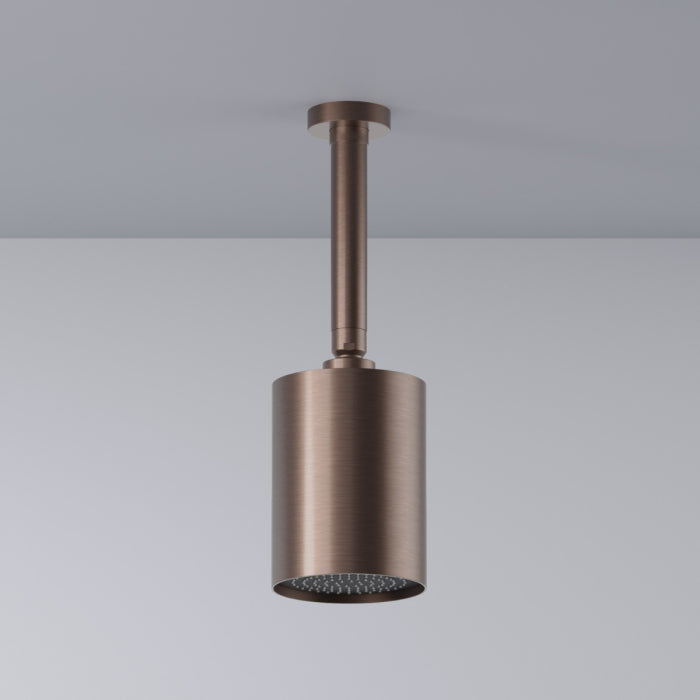 Plumbline Buddy 100mm Ceiling Mount Showerhead
