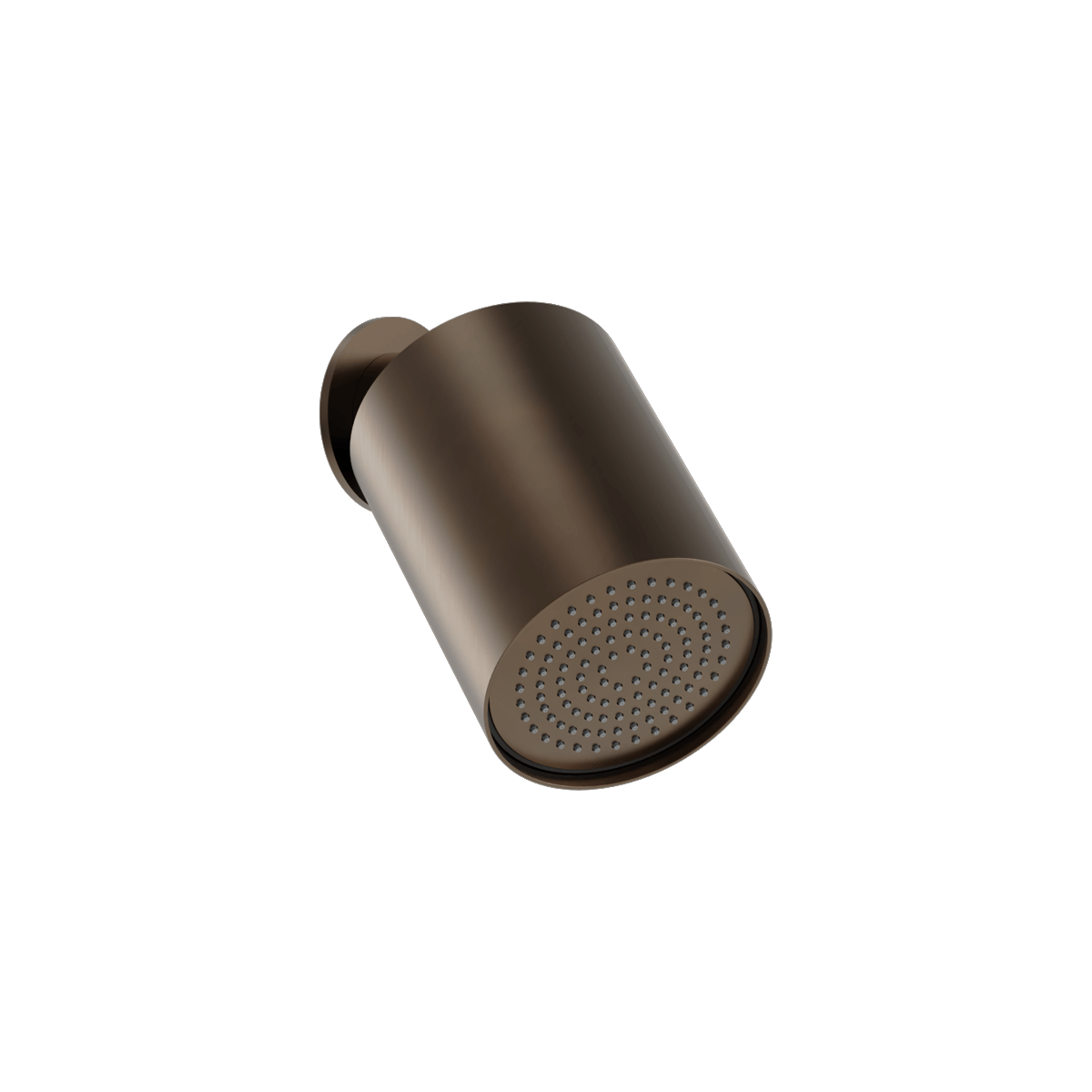 Plumbline Buddy 100mm Wall Mounted Showerhead