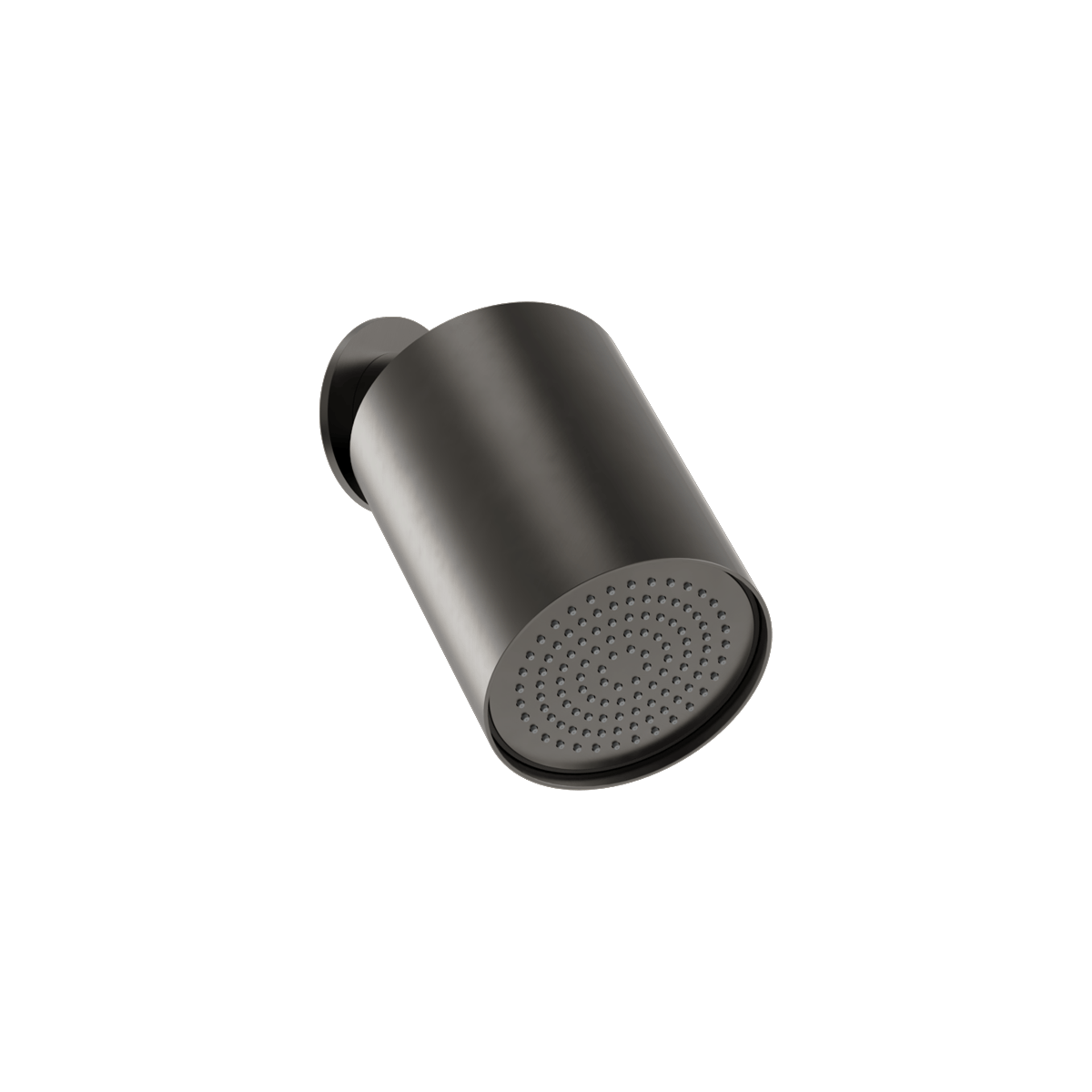 Plumbline Buddy 100mm Wall Mounted Showerhead