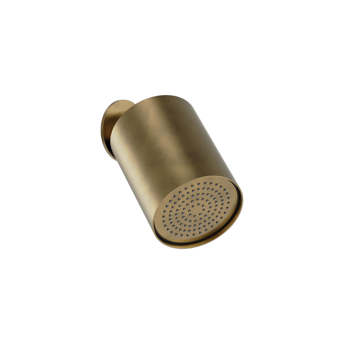 Plumbline Buddy 100mm Wall Mounted Showerhead