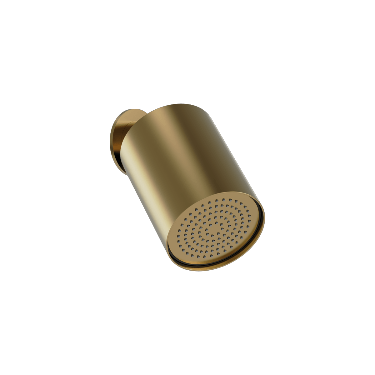 Plumbline Buddy 100mm Wall Mounted Showerhead