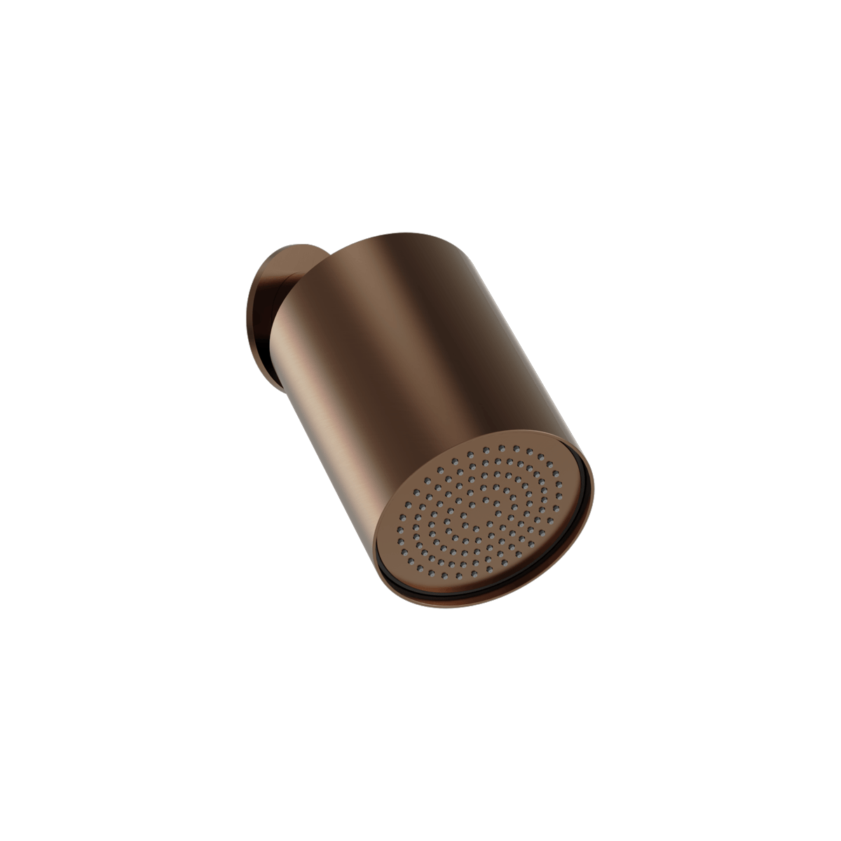 Plumbline Buddy 100mm Wall Mounted Showerhead