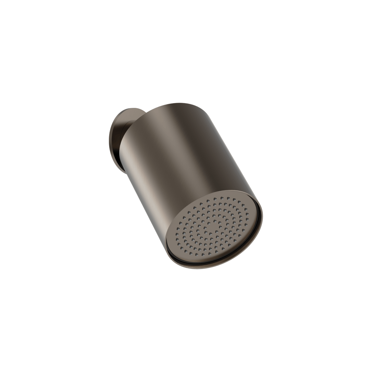 Plumbline Buddy 100mm Wall Mounted Showerhead
