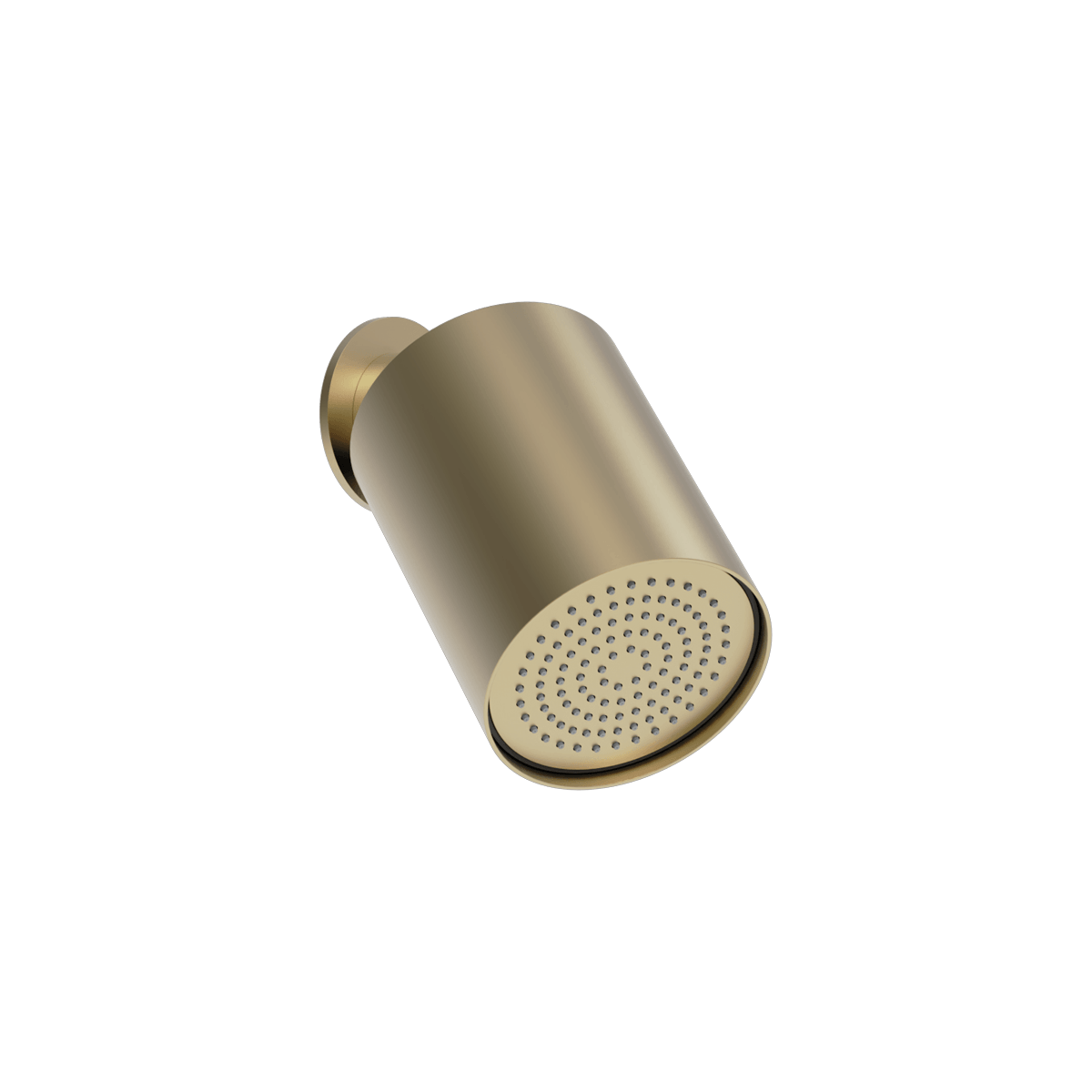 Plumbline Buddy 100mm Wall Mounted Showerhead