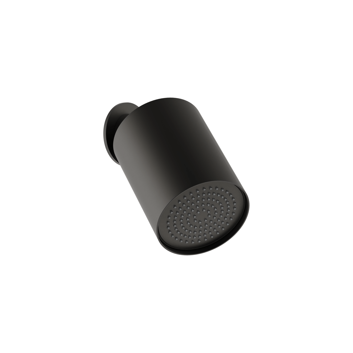 Plumbline Buddy 100mm Wall Mounted Showerhead