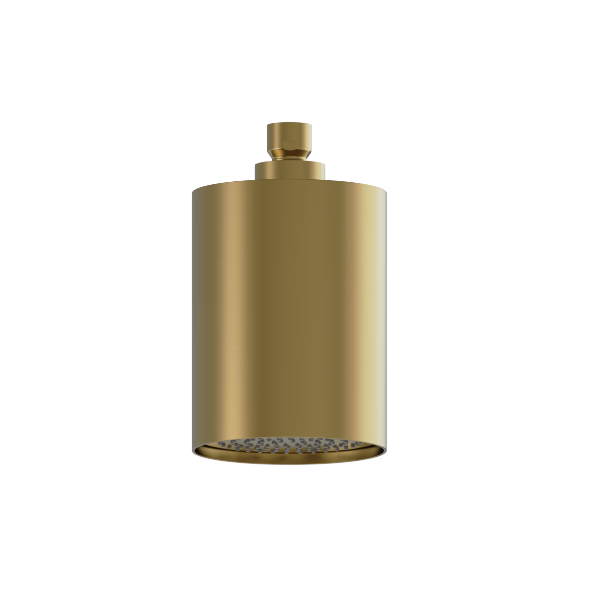 Plumbline Buddy 100mm Ceiling Mount Showerhead
