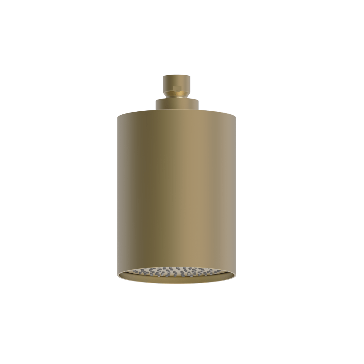 Plumbline Buddy 100mm Ceiling Mount Showerhead