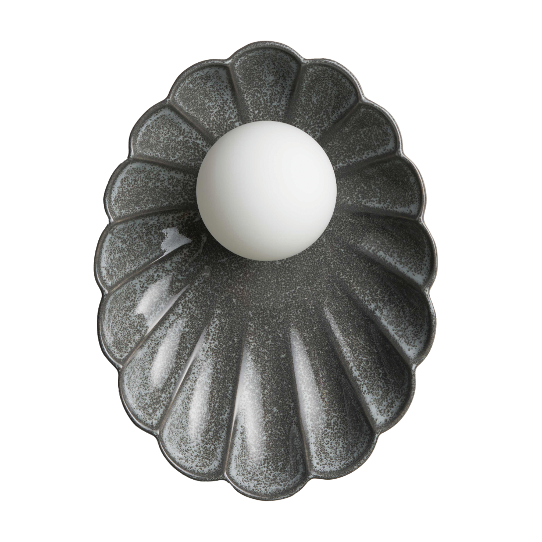Robert Gordon Oyster Wall Sconce