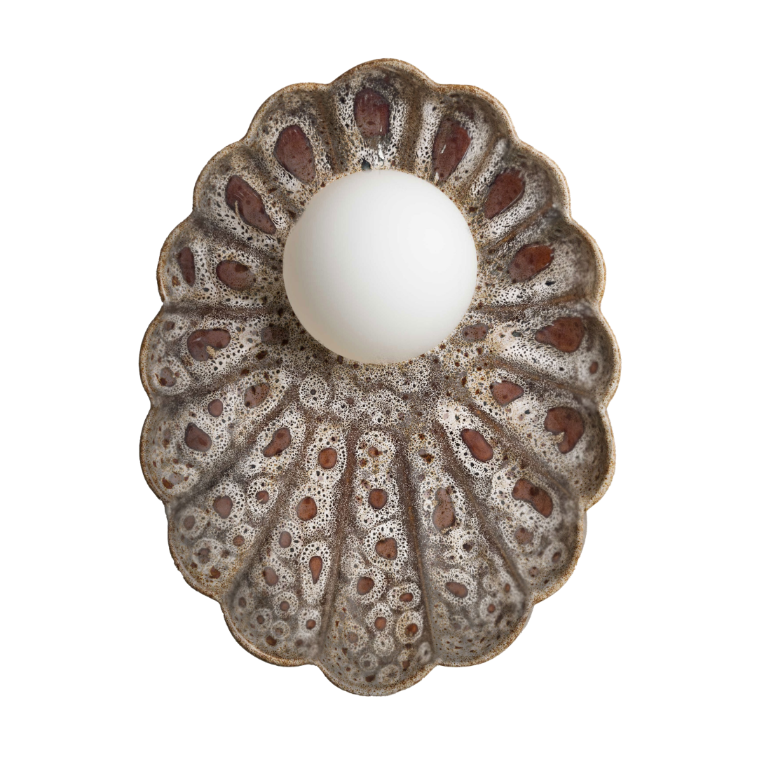 Robert Gordon Oyster Wall Sconce