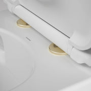toilet-seat-hinge-covers-urbane