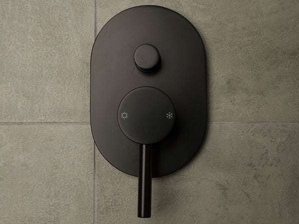 waterware-carbon-oval-diverter-mixer-black